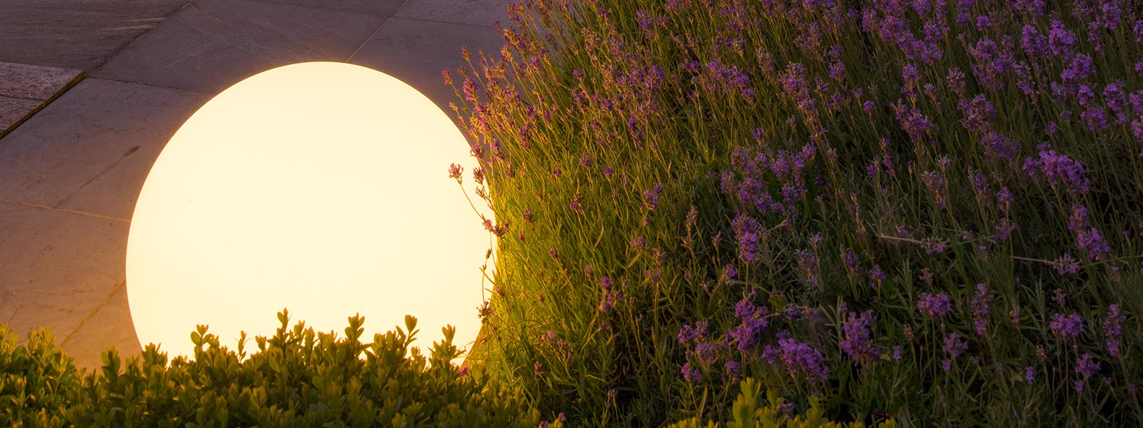 Lichtkunstwerk op Enchanted Gardens, mogelijk gemaakt door SLV Nederland