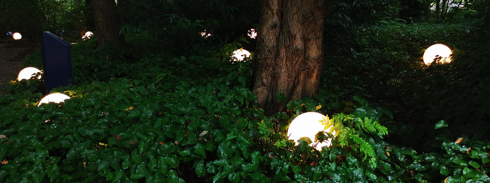 Lichtkunstwerk op Enchanted Gardens, mogelijk gemaakt door SLV Nederland